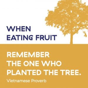 WHEN EATING FRUIT REMEMBER THE ONE WHO PLANTED THE TREE. Vietnamese Proverb