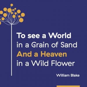 To see a World in a Grain of Sand And a Heaven in a Wild Flower William Blake