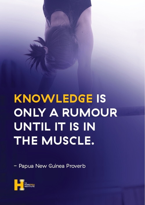 HI-Posters-knowledge